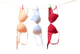 bra-hanging-clothes-line-12826786