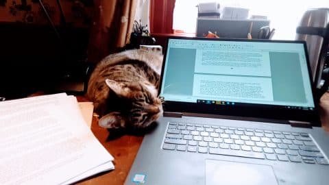 20200402 140837 scaled 20200402 140837 scaled