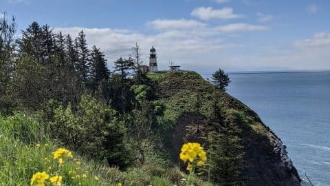 cape disappointment scaled cape disappointment scaled