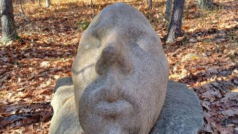 sculpted-head-from-nh sculpted head from nh