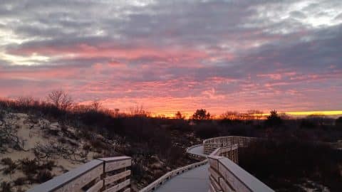hellcat swamp boardwalk at sunset