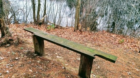 20230328 123906 2048x1536