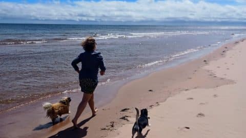 running on Bothwell with dogs